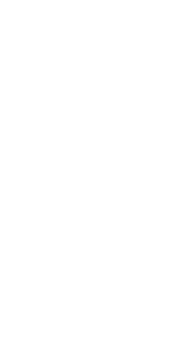 New ZOOM Flow Form Class